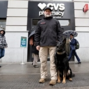 Guard-Dogs-Employed-to-Provide-a-Physical-Deterrent-To-Shoplifting