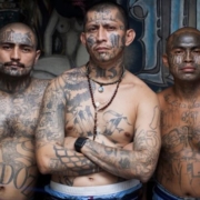 Terrorist-Organizations