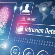 Behind the Signal Leak: Vulnerabilities in High-Security Communication