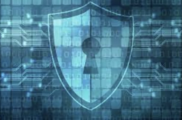 As demand for contract security rises, governments and businesses face critical challenges